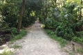 Sanlando Trail5